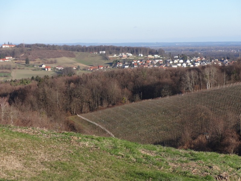 Jeruzalem ljutomer veržej 18.01.2020 + ogl. t - foto povečava