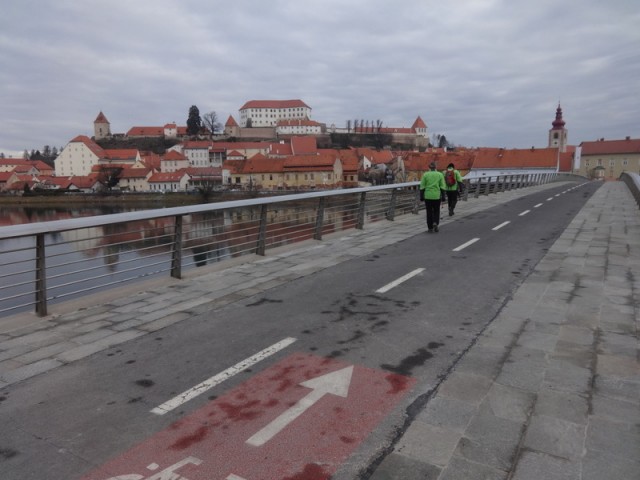 Slovenjegoriška planinska pot 15.2.2020+ogl.t - foto