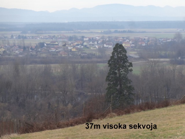 Slovenjegoriška planinska pot 15.2.2020+ogl.t - foto
