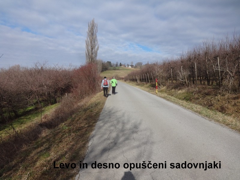 Slovenjegoriška planinska pot 15.2.2020+ogl.t - foto povečava