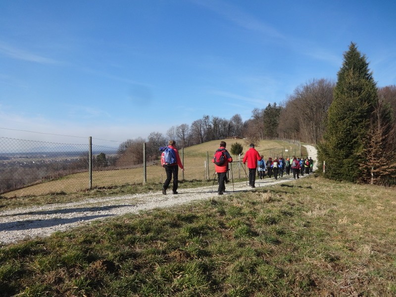 Slovenjegoriška planinska pot (15.2.2020) - foto povečava