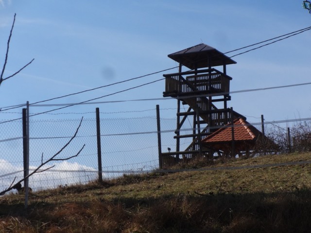 Slovenjegoriška planinska pot (15.2.2020) - foto