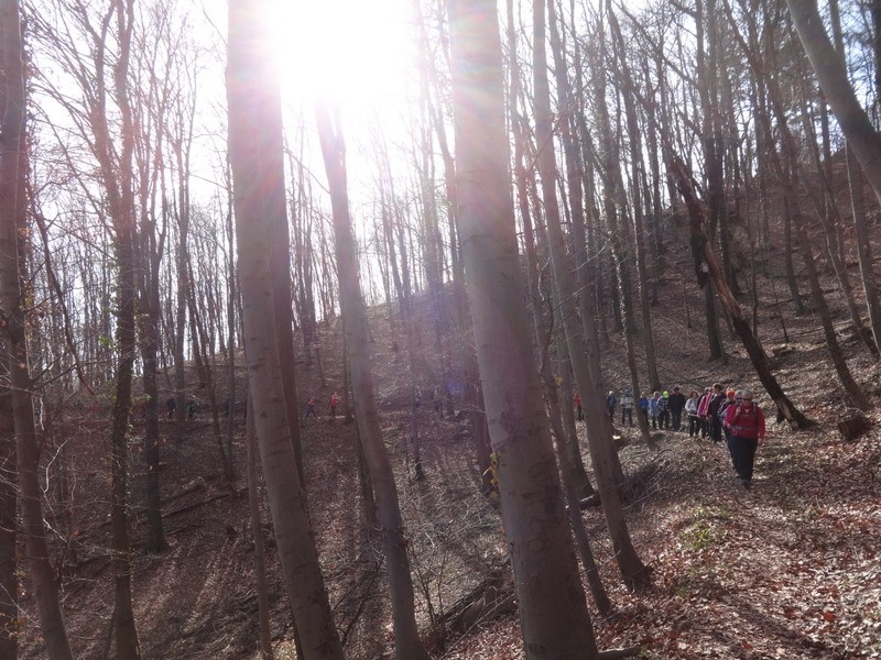 Slovenjegoriška planinska pot (15.2.2020) - foto povečava