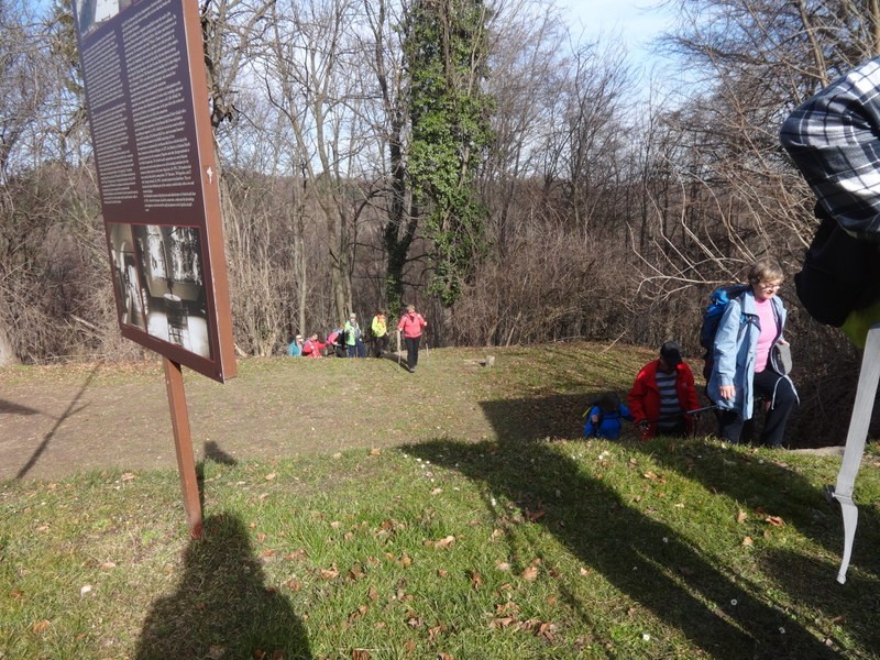 Slovenjegoriška planinska pot (15.2.2020) - foto povečava