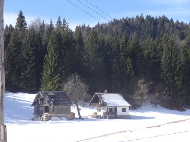 Galetovec ogl. tura - foto