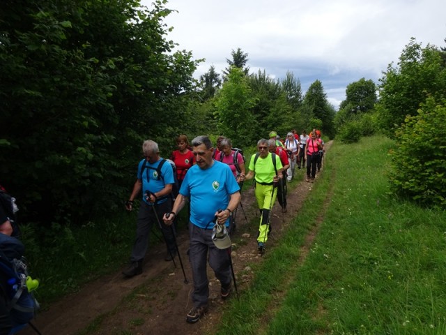 Slivnica (20.6.2020) - foto