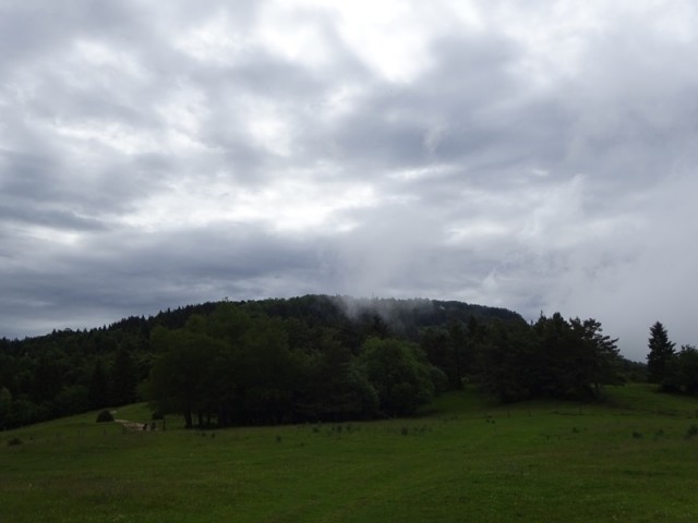 Slivnica (20.6.2020) - foto