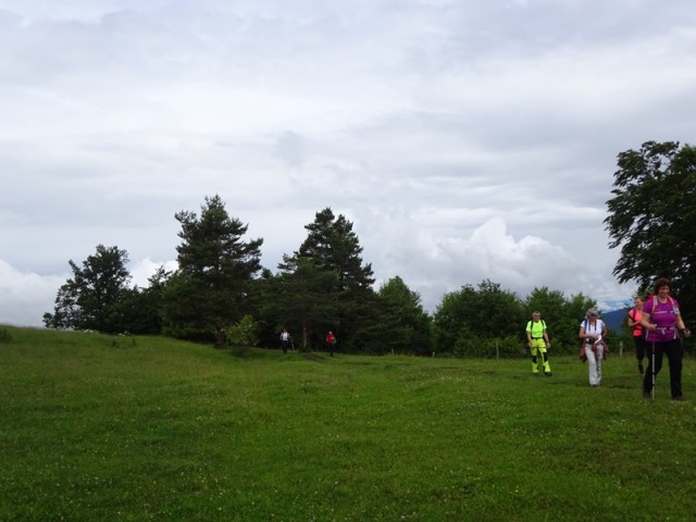 Slivnica (20.6.2020) - foto