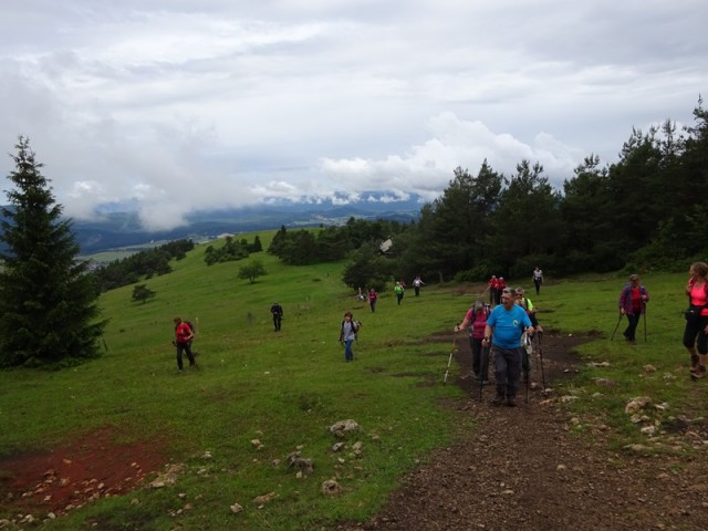 Slivnica (20.6.2020) - foto