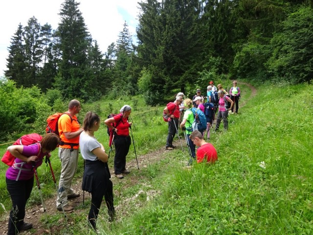 Slivnica (20.6.2020) - foto