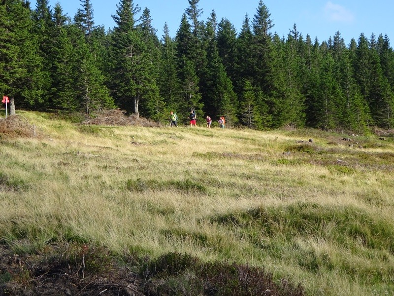 čez Pohorje (22.-23.8.2020) - foto povečava