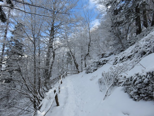 Velika planina - zimski pohod (6.3.2021) - foto povečava