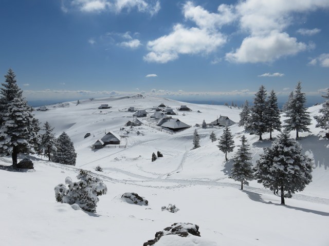 Velika planina - zimski pohod (6.3.2021) - foto