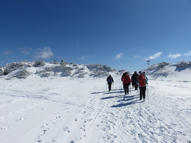 Velika planina - zimski pohod (6.3.2021) - foto povečava