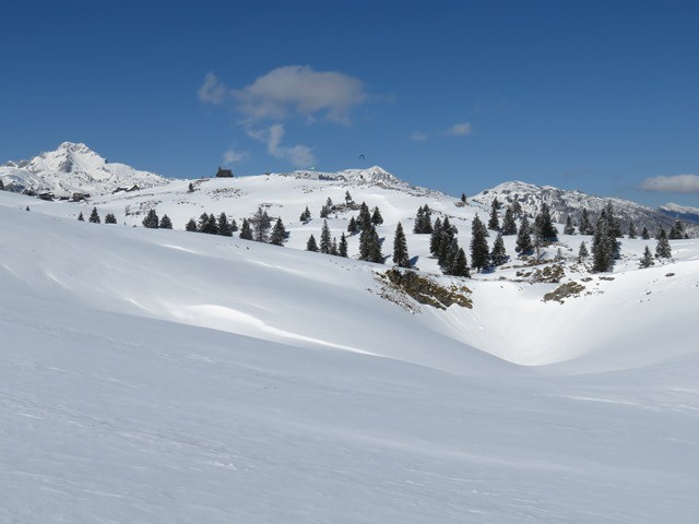 Velika planina - zimski pohod (6.3.2021) - foto povečava