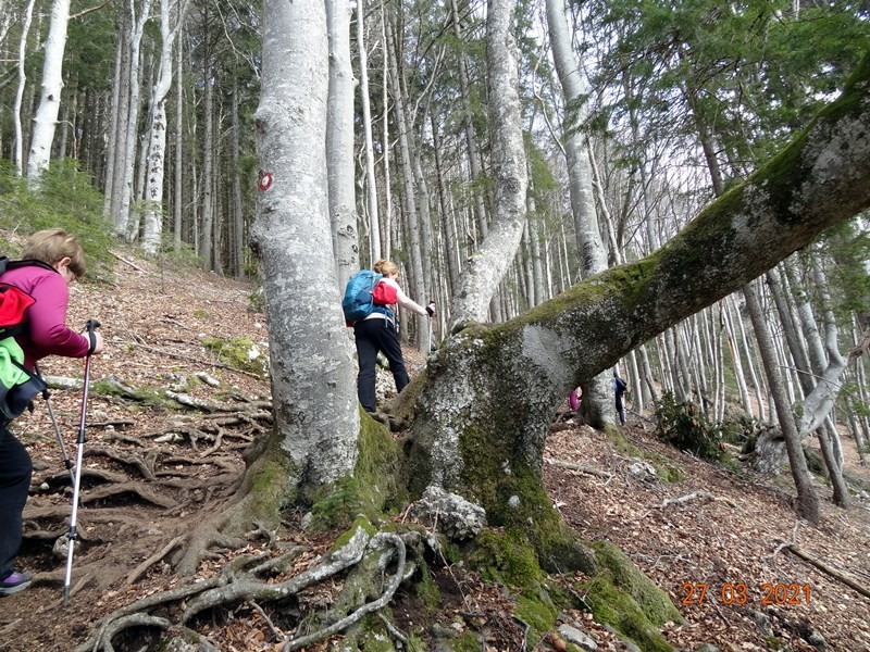 Kriška gora (27.3.2021) - foto povečava