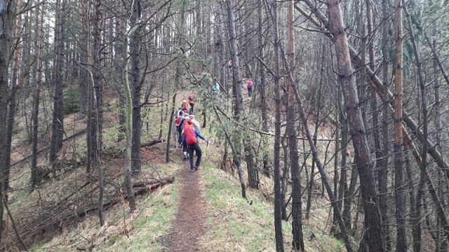 Po Avrikljevi poti (2.5.2021 + ogl.t.) - foto