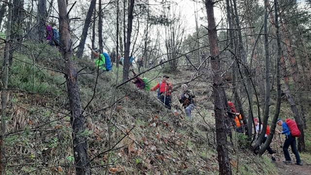 Po Avrikljevi poti (2.5.2021 + ogl.t.) - foto