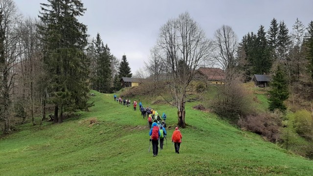 Po Avrikljevi poti (2.5.2021 + ogl.t.) - foto