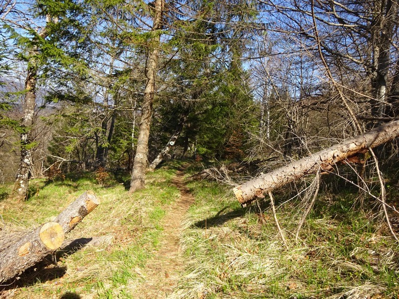 Po roški poti 1. del (ogl. t.) - foto povečava