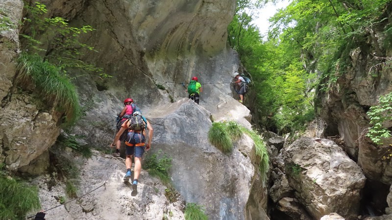 Tečaj gibanja po zav. poteh Foto: Volontar - foto povečava