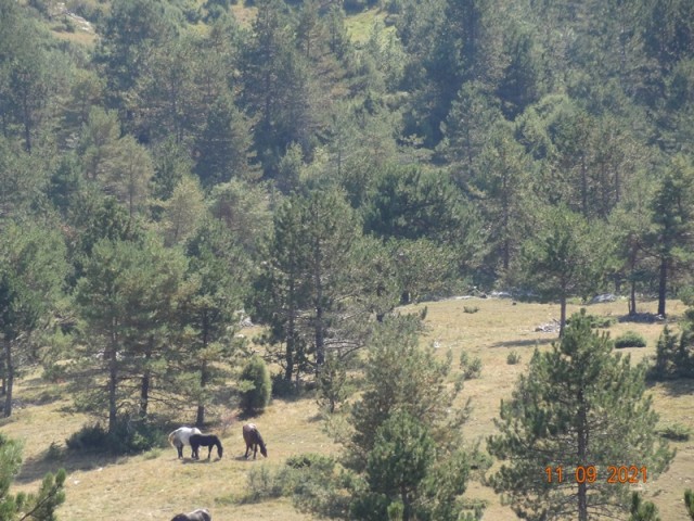 Pohod ob dnevu žena (11.-12.9.2021) - foto