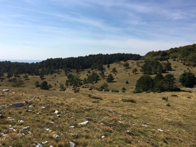 Pohod ob dnevu žena (11.-12.9.2021) - foto