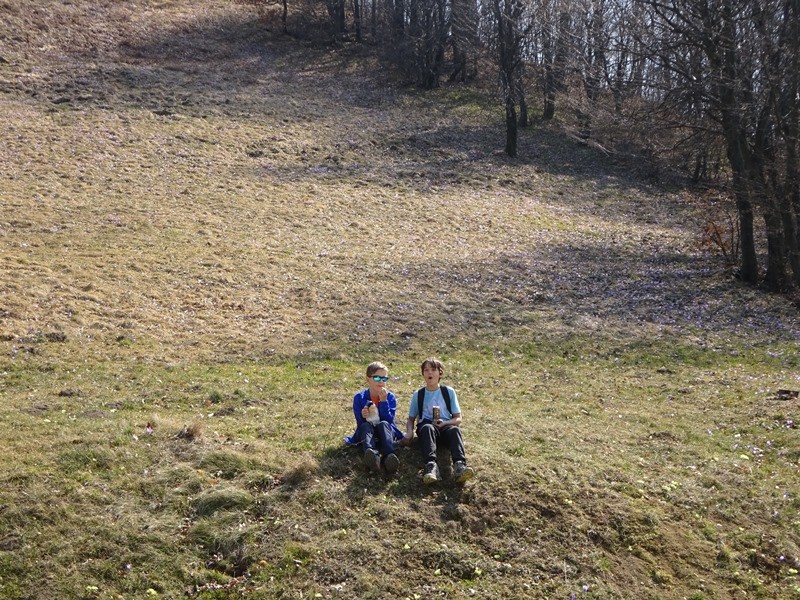 Donačka gora za OŠ (26.3.2022) - foto povečava