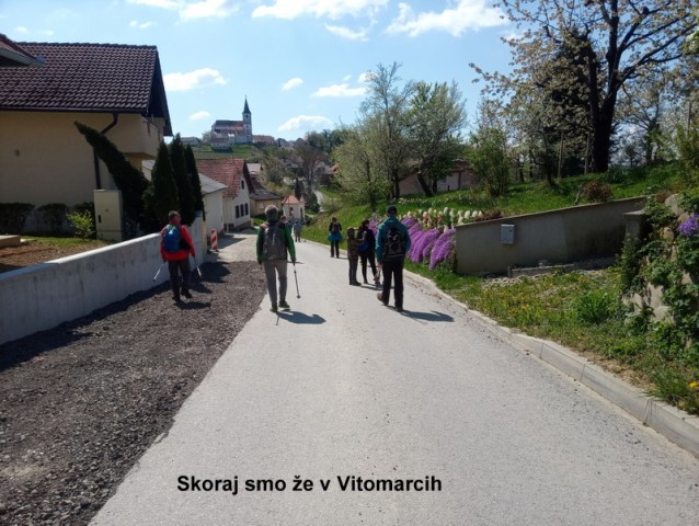 Slovenjegoriška pot (18.4.2022 + ogl.t.) - foto