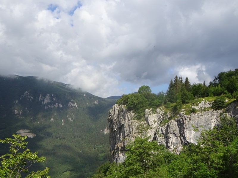 Pot po robu (25.6.2022 + ogl.t.) - foto povečava