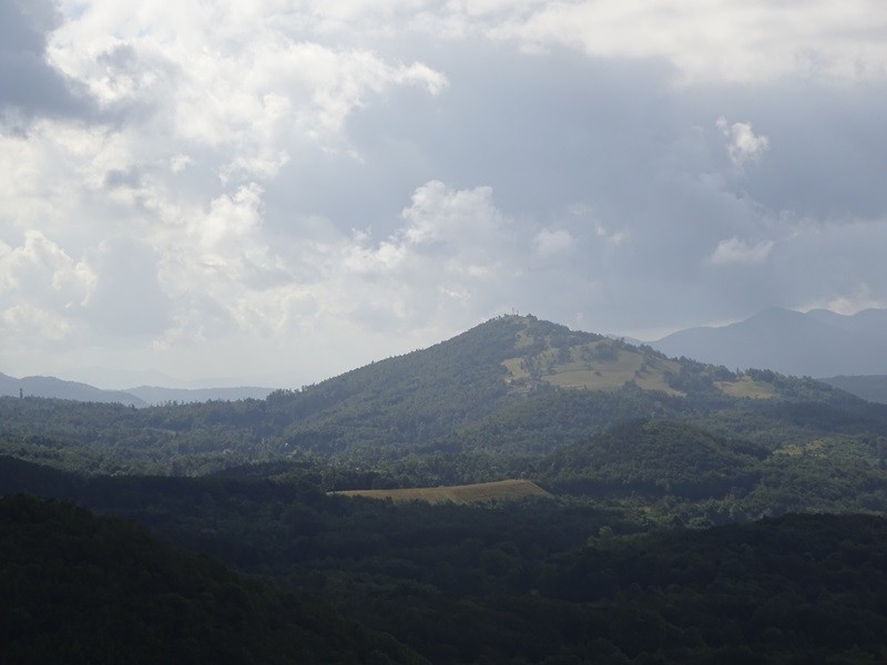 Pot po robu (25.6.2022 + ogl.t.) - foto povečava