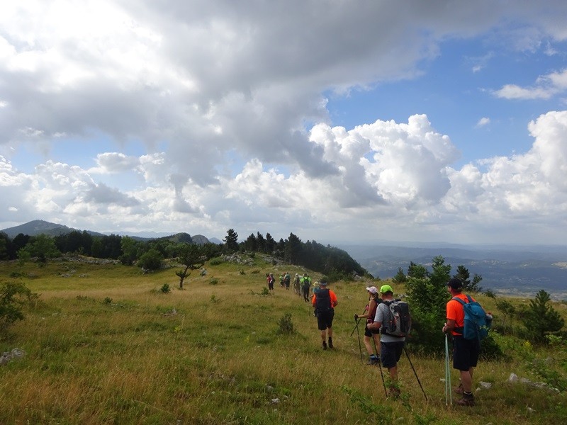 Pot po robu (25.6.2022 + ogl.t.) - foto povečava