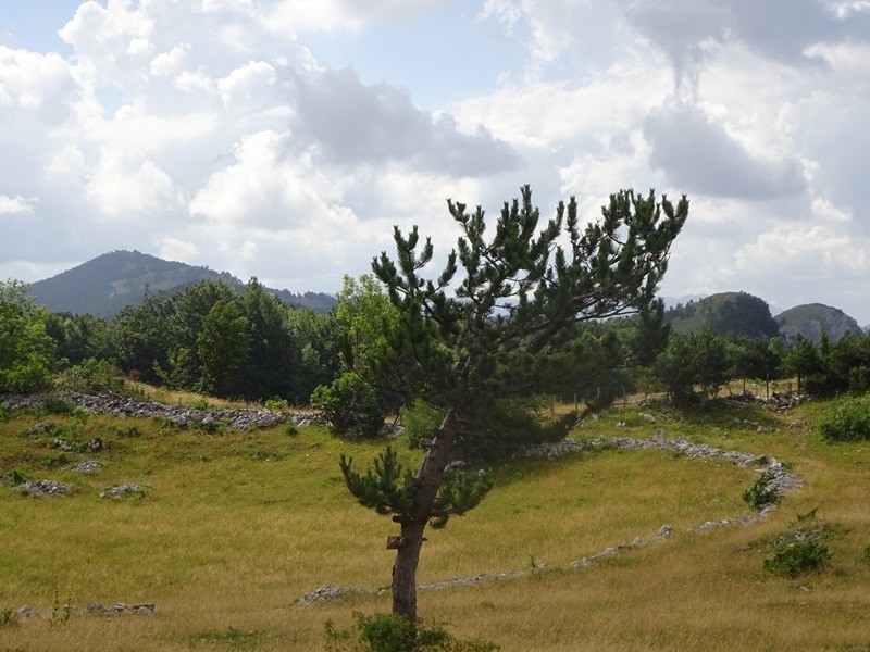 Pot po robu (25.6.2022 + ogl.t.) - foto povečava