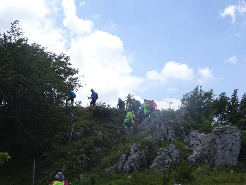 Pot po robu (25.6.2022 + ogl.t.) - foto povečava