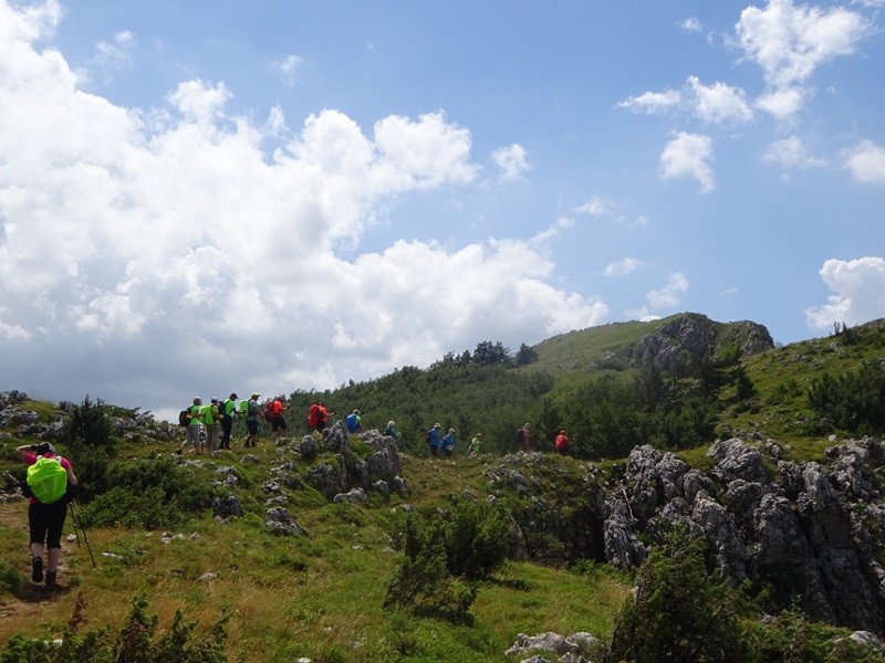 Pot po robu (25.6.2022 + ogl.t.) - foto povečava