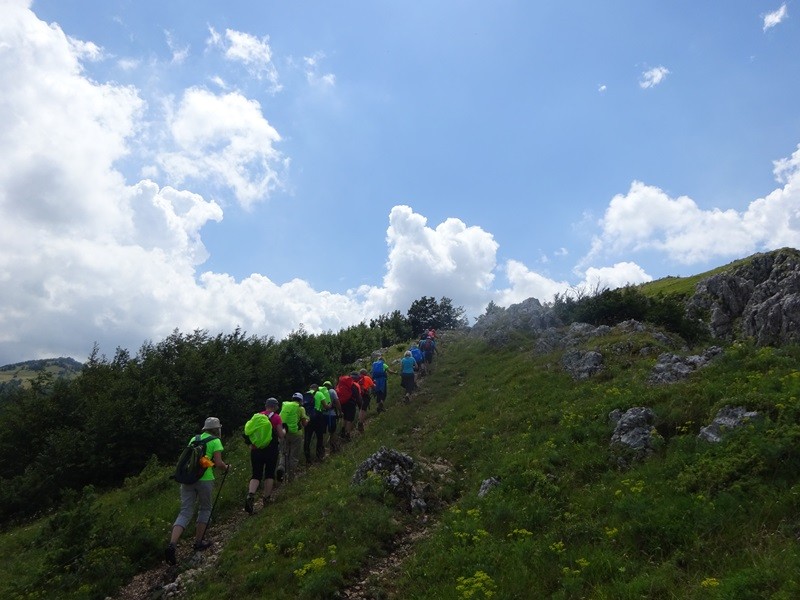 Pot po robu (25.6.2022 + ogl.t.) - foto povečava