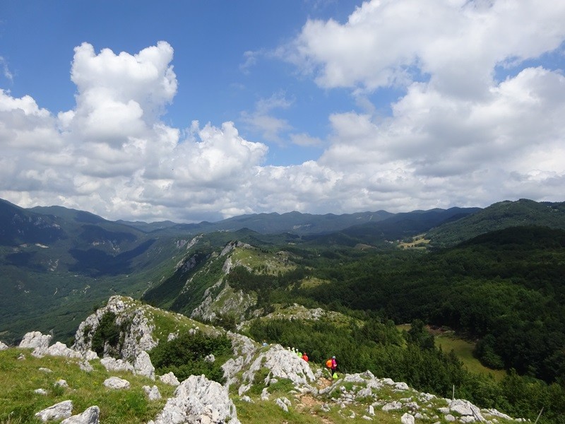 Pot po robu (25.6.2022 + ogl.t.) - foto povečava