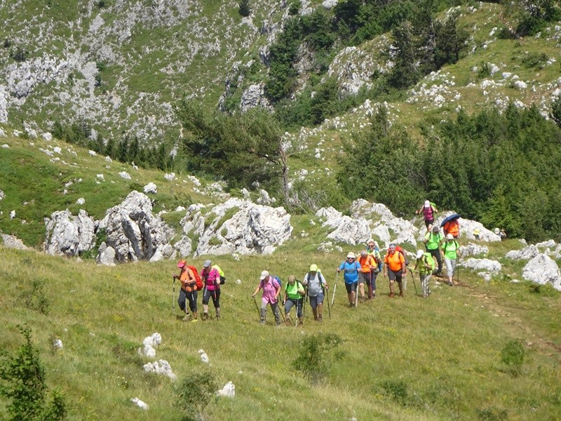 Pot po robu (25.6.2022 + ogl.t.) - foto povečava