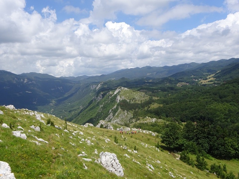 Pot po robu (25.6.2022 + ogl.t.) - foto povečava