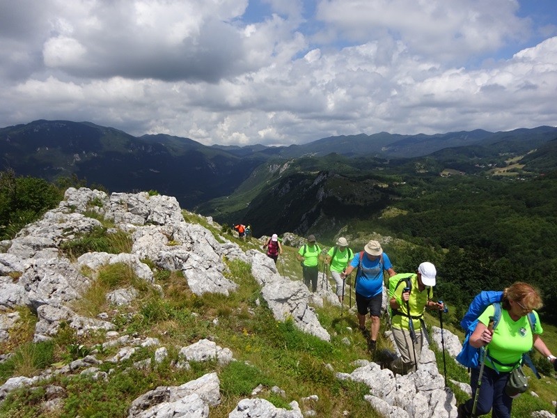 Pot po robu (25.6.2022 + ogl.t.) - foto povečava