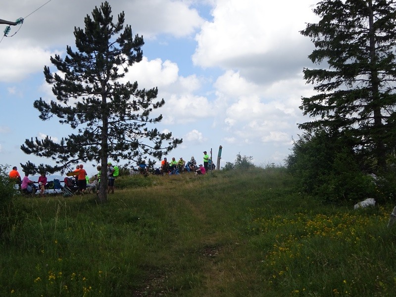 Pot po robu (25.6.2022 + ogl.t.) - foto povečava