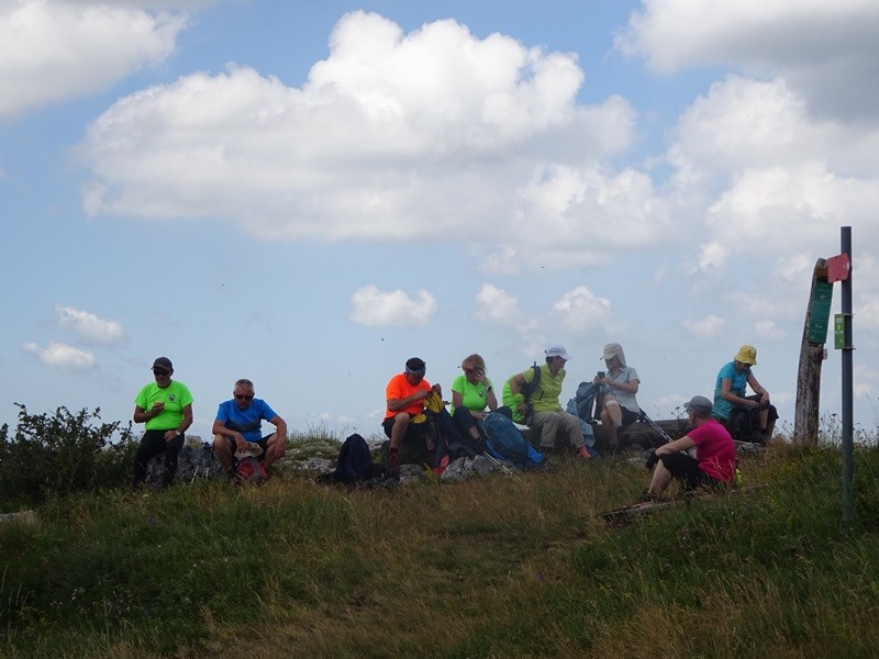 Pot po robu (25.6.2022 + ogl.t.) - foto povečava