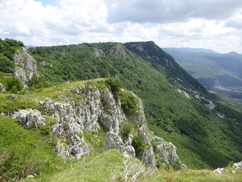 Pot po robu (25.6.2022 + ogl.t.) - foto povečava