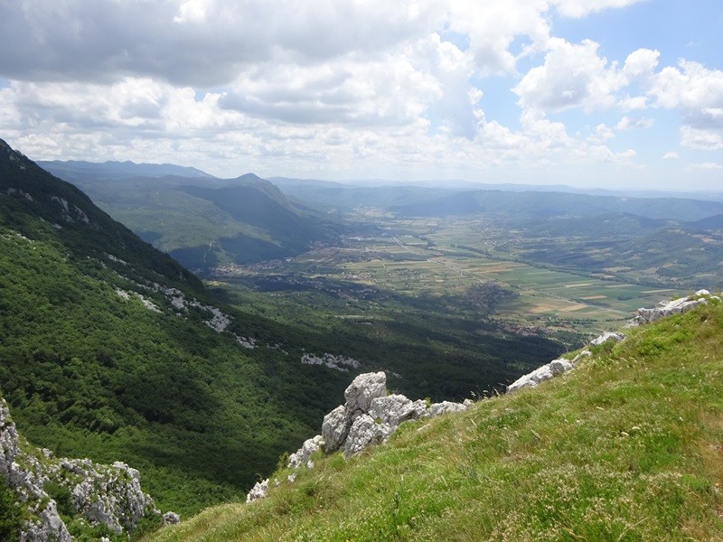 Pot po robu (25.6.2022 + ogl.t.) - foto povečava