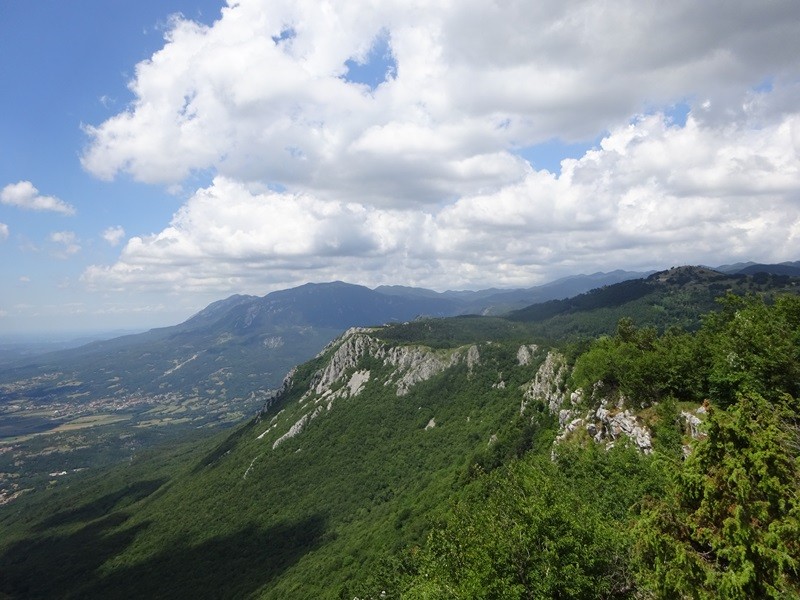 Pot po robu (25.6.2022 + ogl.t.) - foto povečava