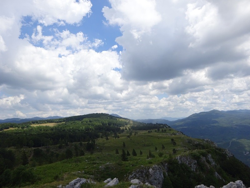 Pot po robu (25.6.2022 + ogl.t.) - foto povečava