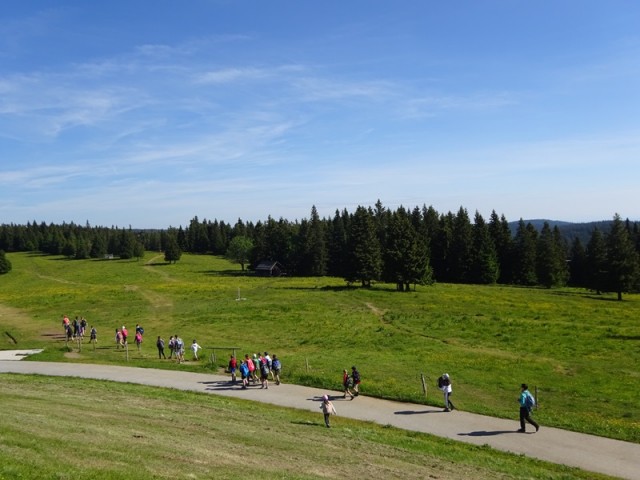 Lovrenška jezera za oš (18.6.2022) - foto