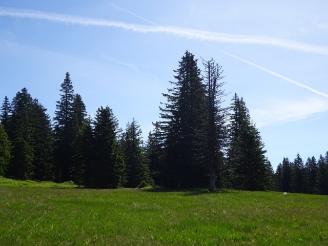 Lovrenška jezera za oš (18.6.2022) - foto