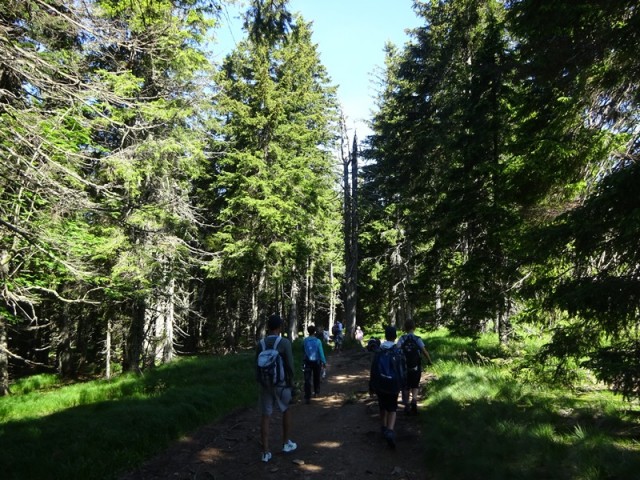 Lovrenška jezera za oš (18.6.2022) - foto