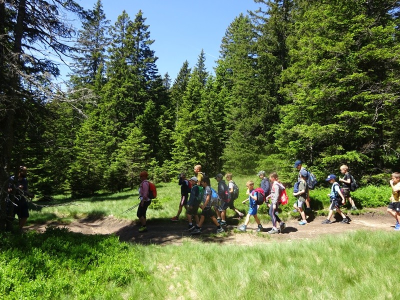 Lovrenška jezera za oš (18.6.2022) - foto povečava